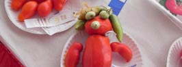 Fredericktown Tomato Show | Description